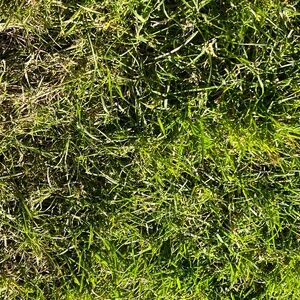 Meet your Posher, Jeremiah-annahope